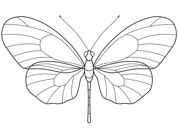 Obrys motýla — Stockový vektor