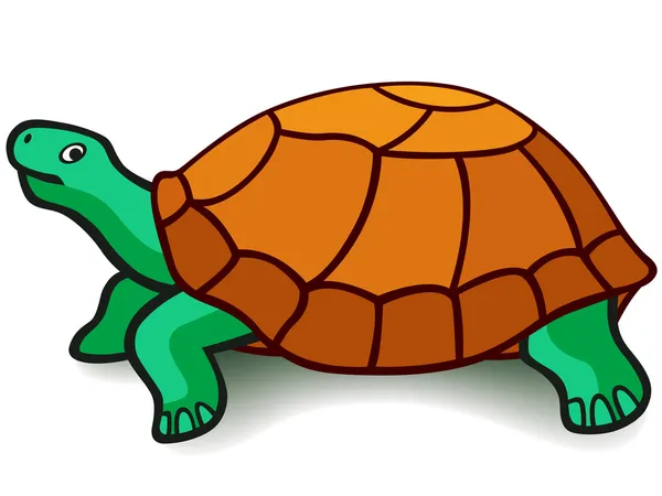 Turtle — Stock Vector