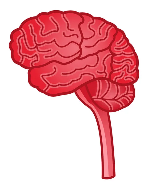 Ilustración Vista Lateral Del Cerebro Humano — Vector de stock