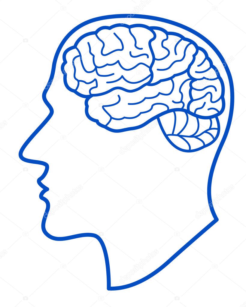 Human head with brain side view contour illustratio