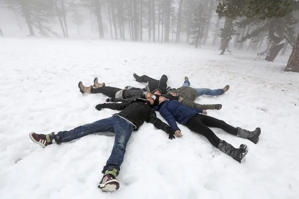 En invierno — Foto de Stock