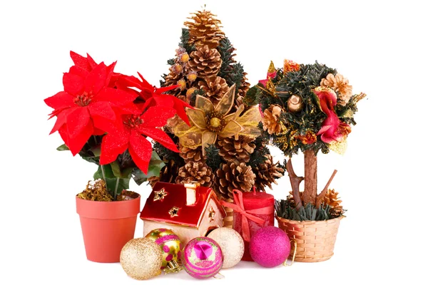 Fleurs de houx, sapin de Noël et décoration — Photo