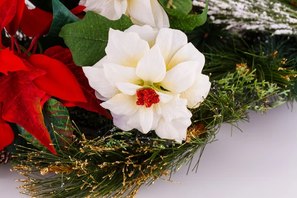 Flores de baga Holly — Fotografia de Stock