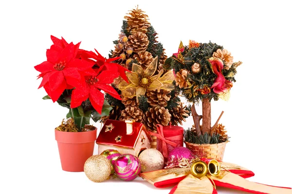 Fleurs de houx, sapin de Noël et décoration — Photo