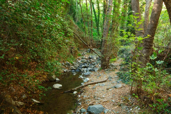 Paesaggio — Foto Stock