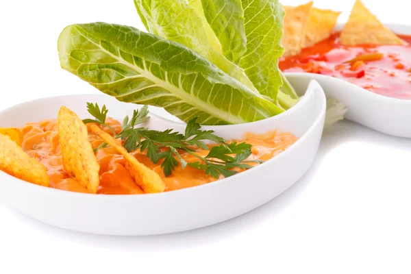 Nachos, kaas en rode saus, groenten — Stockfoto