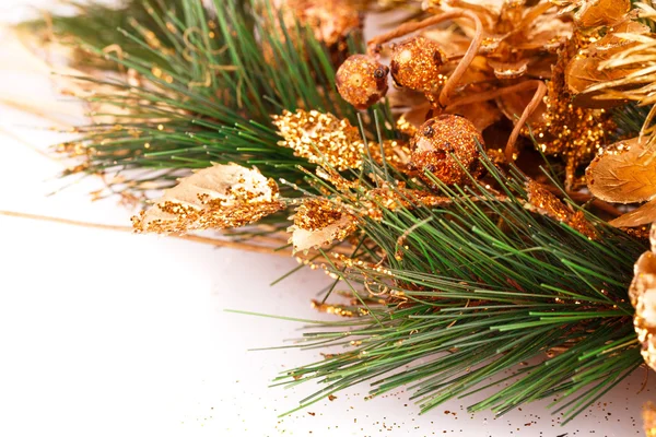 Rama del árbol de Navidad — Foto de Stock