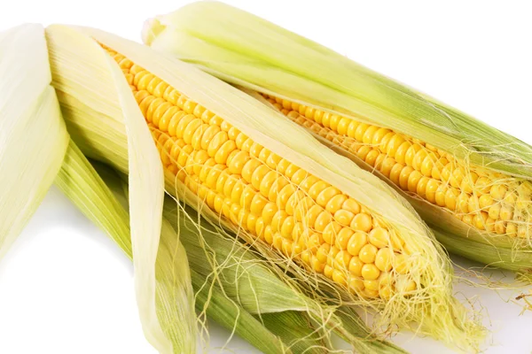 Corn cobs — Stock Photo, Image