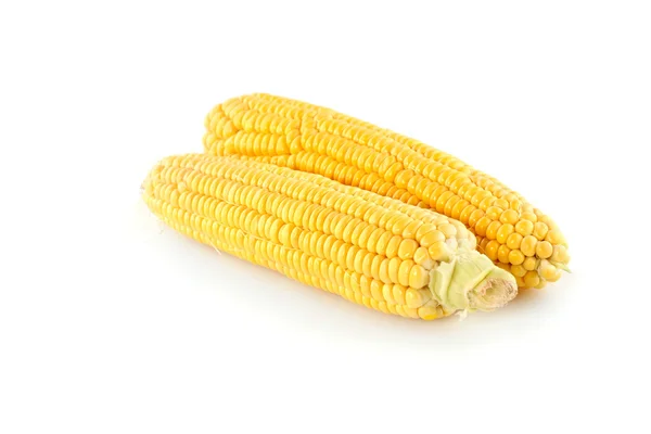 Corn cobs — Stock Photo, Image