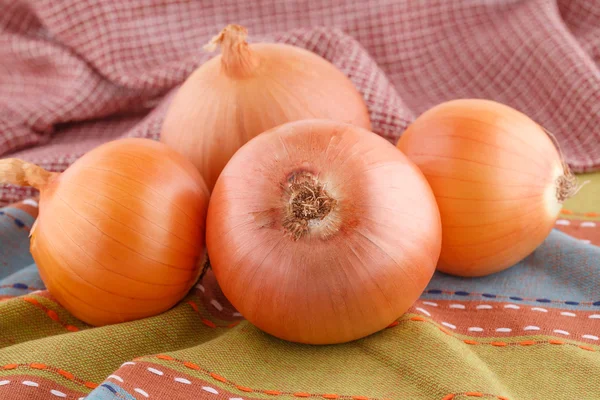 Zwiebeln — Stockfoto