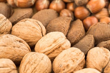 Fındık, ceviz ve Brezilya fındığı yakın çekim görüntüsü. Üst yatay görüntü. Arka plan olarak çeşitli fıstıklar.