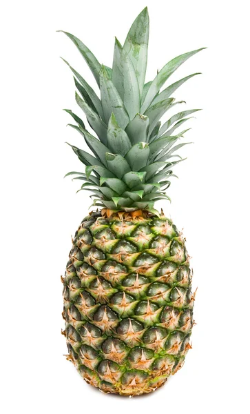 Ananas — Zdjęcie stockowe