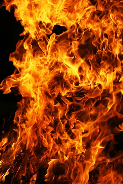 Fire — Stock Photo, Image