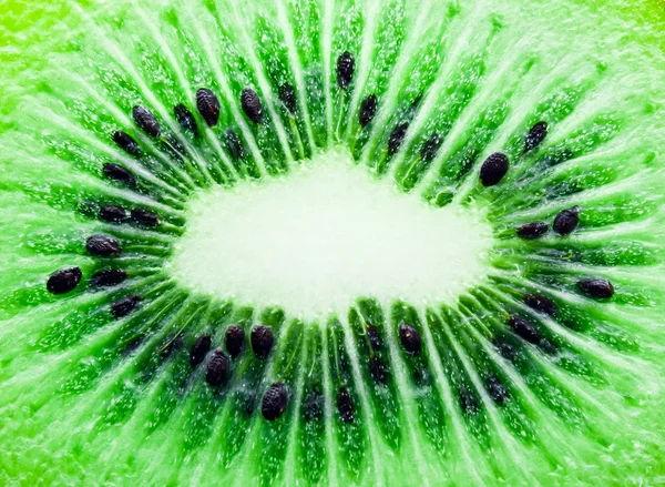 Kiwi fresco — Foto de Stock