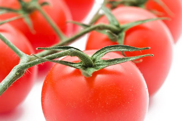 Tomaten — Stockfoto