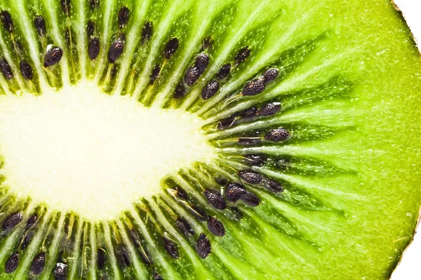 Kiwi ! — Photo