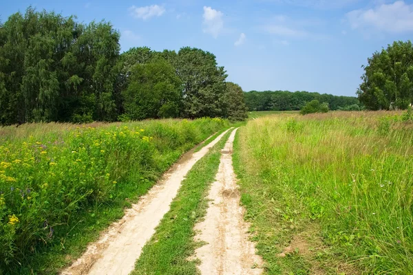 De weg in het veld — Stockfoto