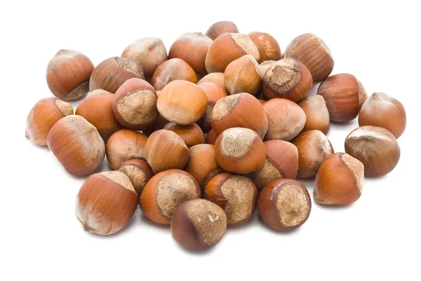 Hazelnuts — Stock fotografie