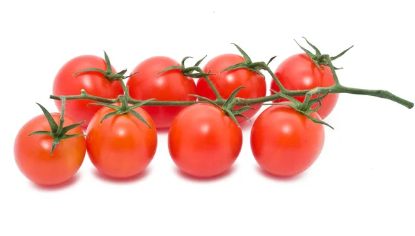 Tomaten — Stockfoto