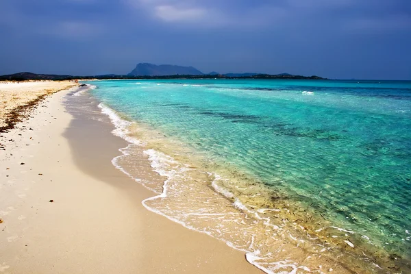 Sardinië beach — Stockfoto