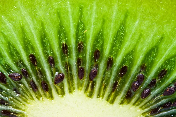 Kiwi — Foto Stock