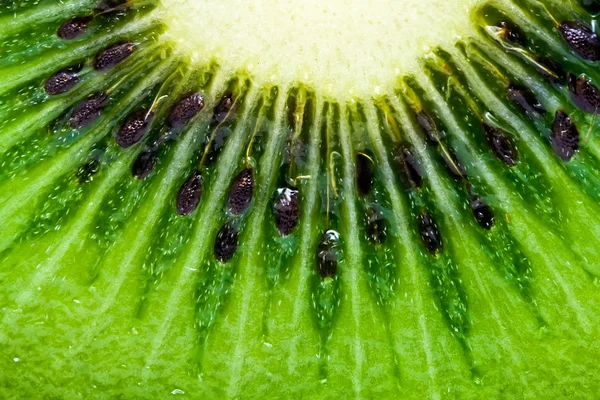 Kiwi — Stockfoto