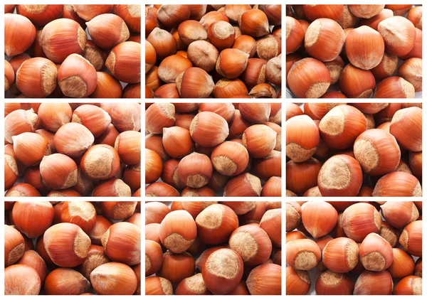 Hazelnuts or filbert nuts — Stock Photo, Image