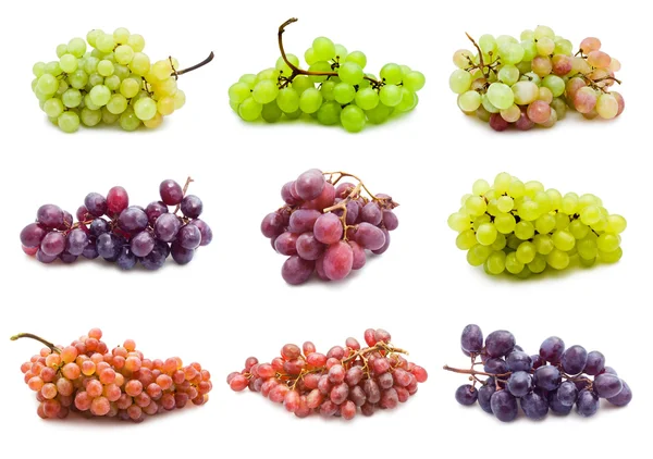 Uvas — Foto de Stock