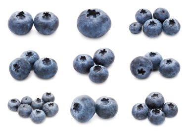 Blueberry set clipart