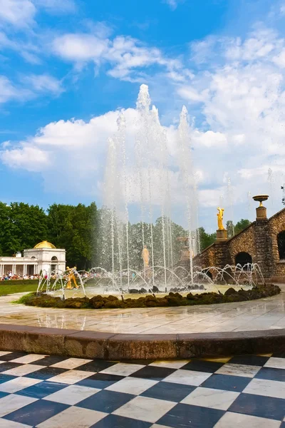 Peterhof Przewodniczący — Zdjęcie stockowe