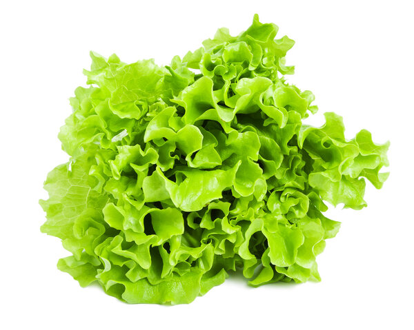 Lettuce