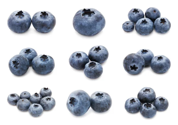 Blueberry set — Stock Photo, Image