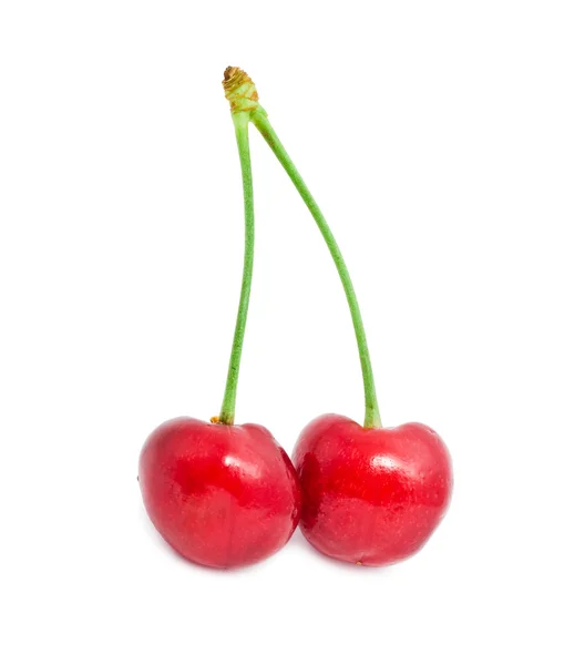 Cereza roja — Foto de Stock