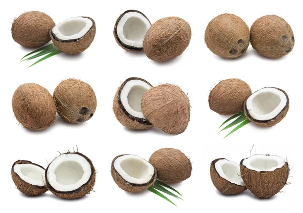 Noci di cocco — Foto Stock