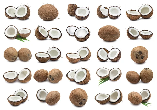 Noci di cocco — Foto Stock