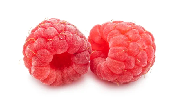 Fresh raspberries — Stock Photo, Image