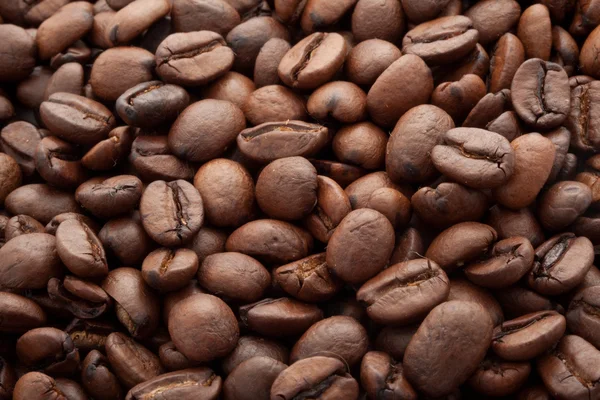 Coffee beans — Stock Photo, Image