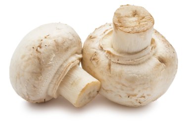 champignon mantarları