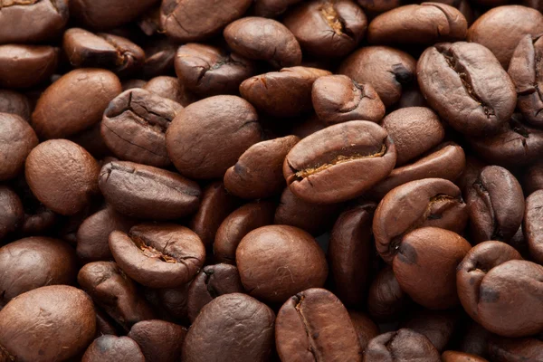 Coffee beans — Stock Photo, Image