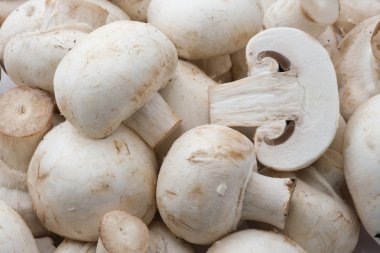 champignon mantarları