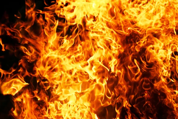 Fire — Stock Photo, Image