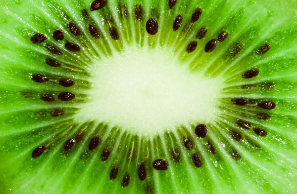 Kiwi — Stock Fotó