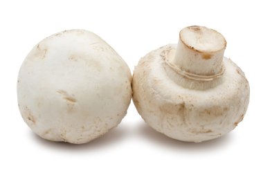 champignon mantarları