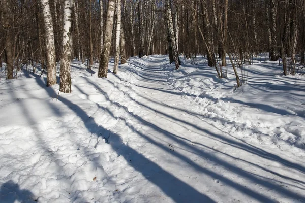 Bosque de invierno —  Fotos de Stock