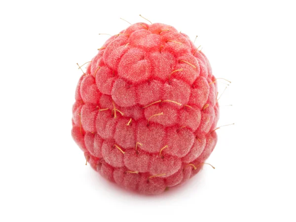 Fresh raspberry — Stock Photo, Image