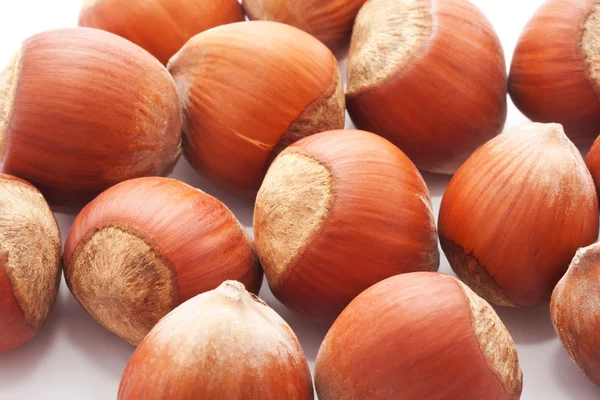 Hazelnuts or filbert — Stock Photo, Image