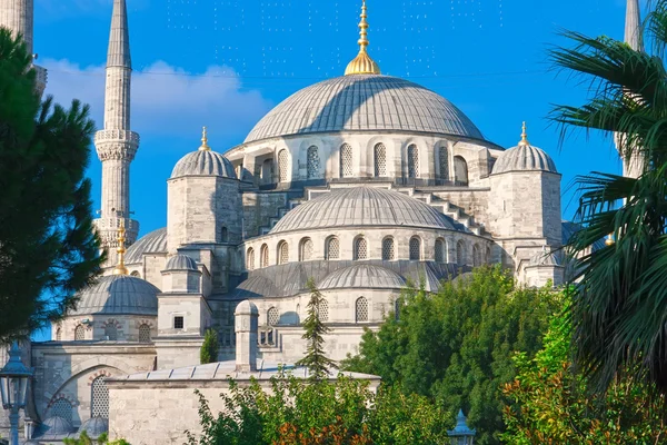 Blue Mosque — Stock Photo, Image