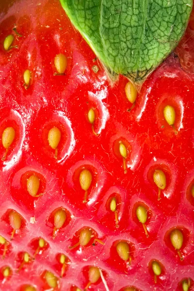 Strawberry — Stock Photo, Image