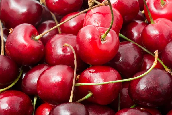 Červené cherry — Stock fotografie