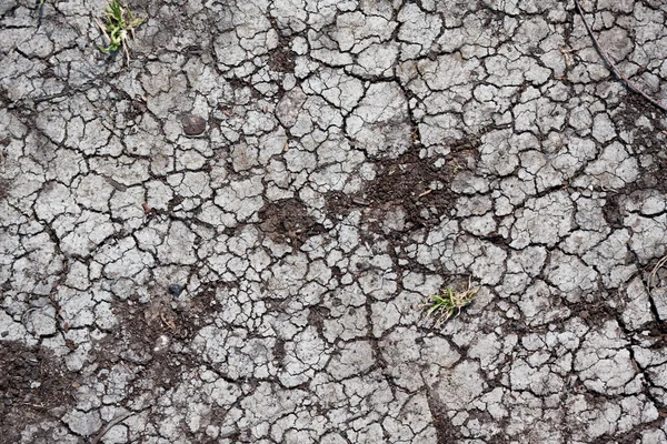 Tierra seca — Foto de Stock